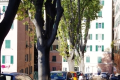 salita san francesco da paola