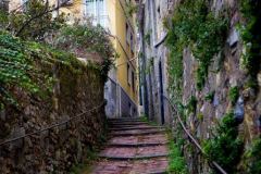 Salita-San-Rocchino-14