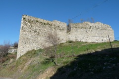 FORTE QUEZZI