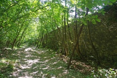 Begato_Granarolo-18