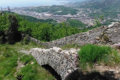 Begato_Granarolo-2