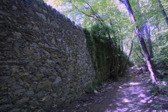 Begato_Granarolo-28