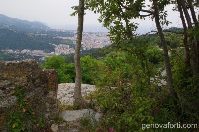 mura-sperone-1