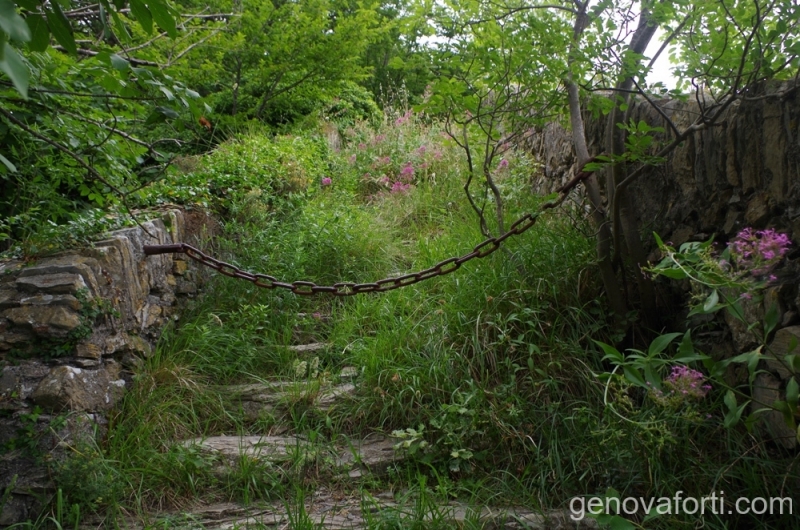 mura-sperone-11