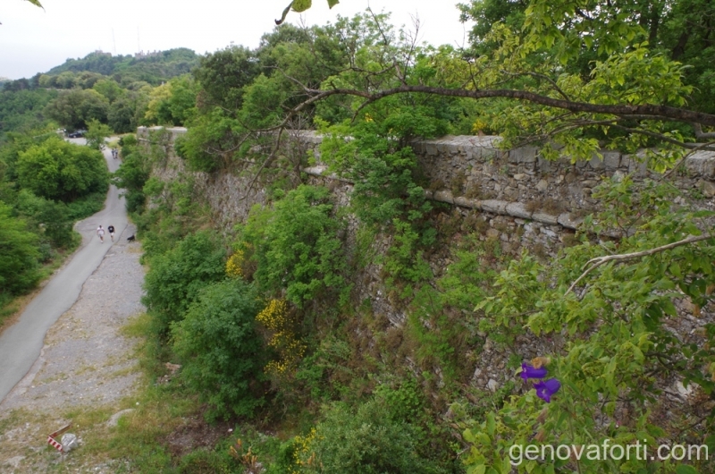 mura-sperone-14