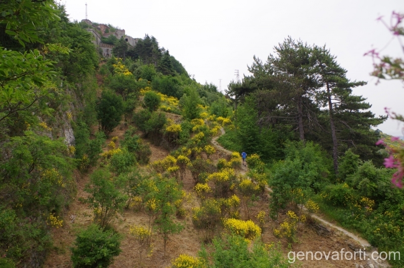 mura-sperone-3