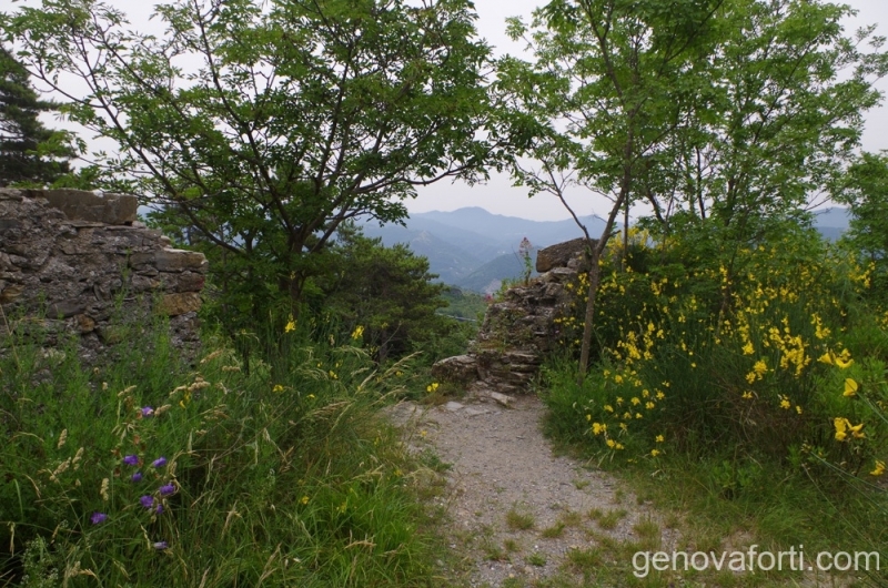 mura-sperone-4