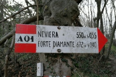 NEVIERA