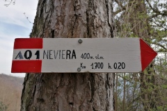 NEVIERA