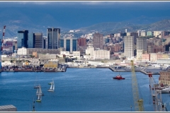 Genova_Panorama_Carignano_9