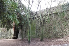 PORTA DELLE CHIAPPE