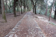 PORTA DELLE CHIAPPE