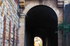 Porta-San-Bartolomeo-6
