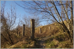 Forte-Ratti-01032021_25