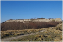 Forte-Ratti-01032021_27