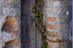 Forte-Santa-Tecla-02062022_24