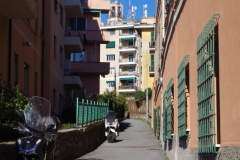 Salita-Bachernia-12