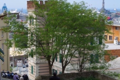 Salita-Oregina-1-di-1-24