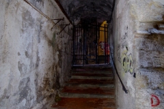 Salita-Rondinella-5